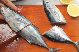 Berikut 7 Alasan Ikan Jeruk Limau Paling Populer Di Karibia